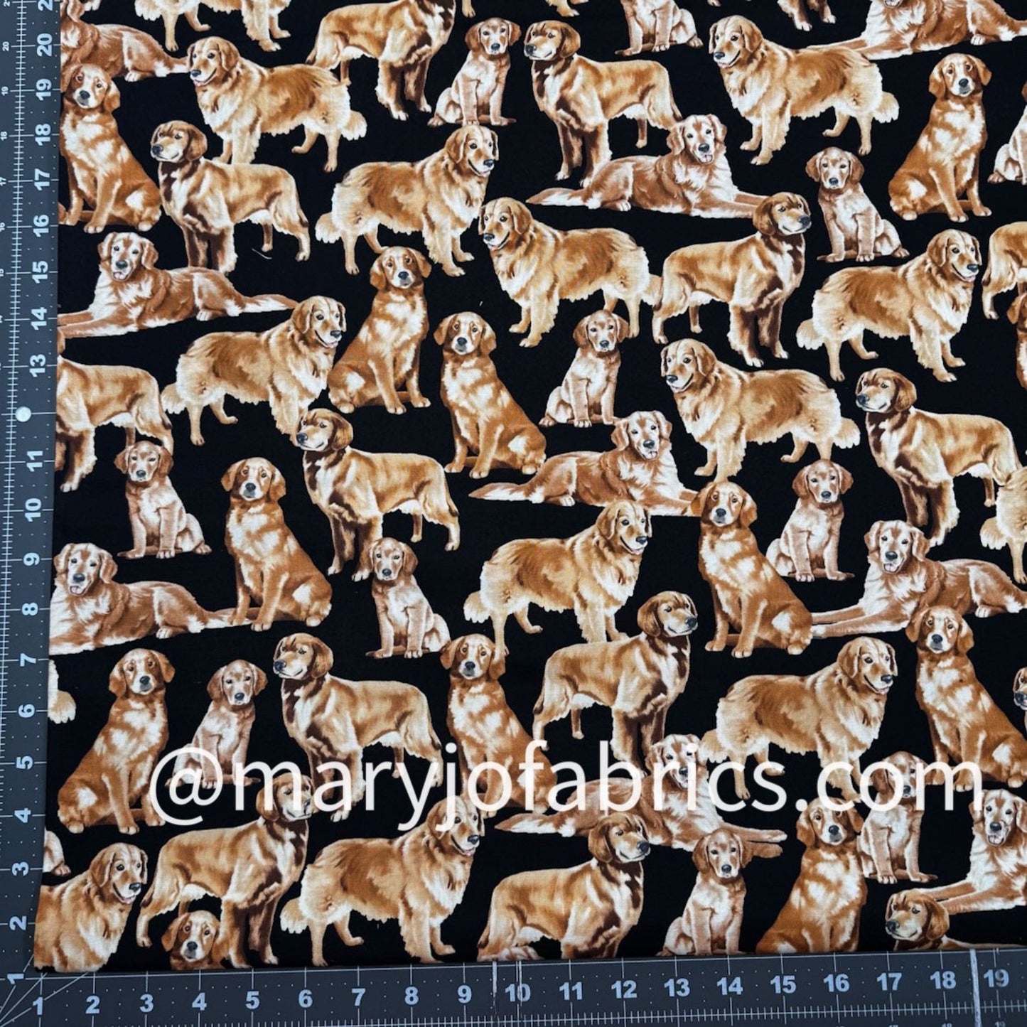 Golden Retriever Dog Fabric Cotton GM - C4892 - Mary Jo Fabrics