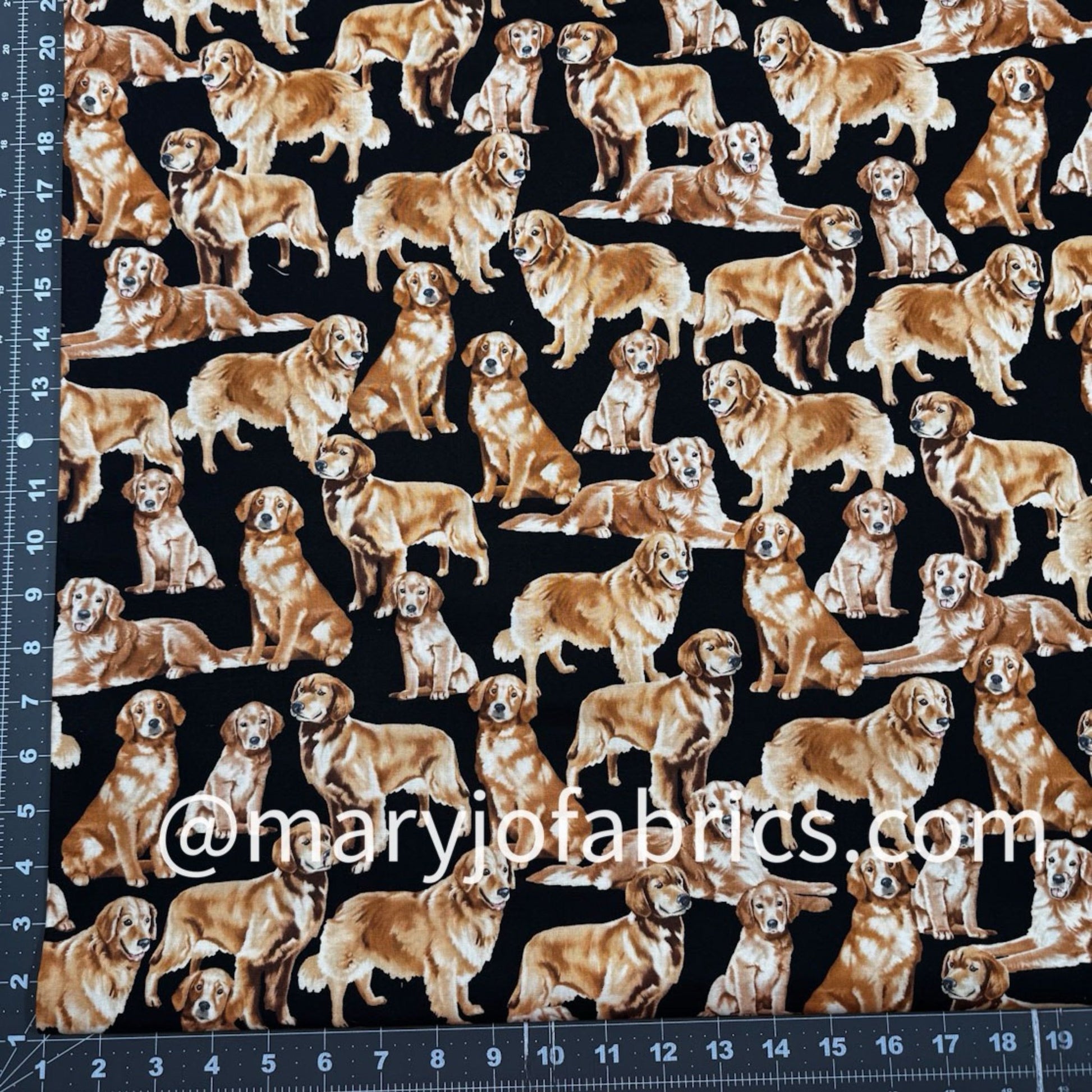 Golden Retriever Dog Fabric Cotton GM - C4892 - Mary Jo Fabrics