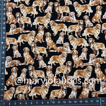 Golden Retriever Dog Fabric Cotton GM - C4892 - Mary Jo Fabrics