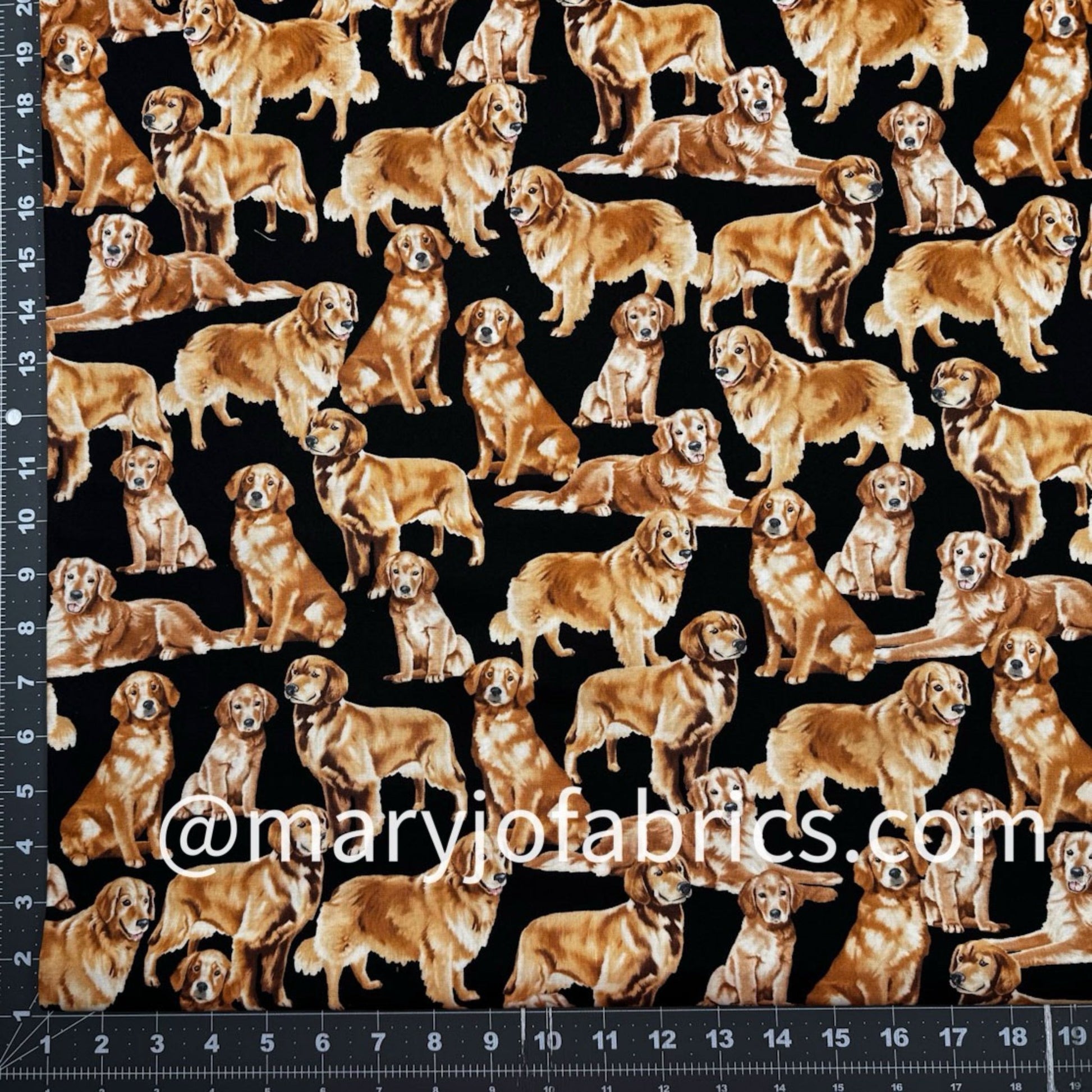 Golden Retriever Dog Fabric Cotton GM - C4892 - Mary Jo Fabrics