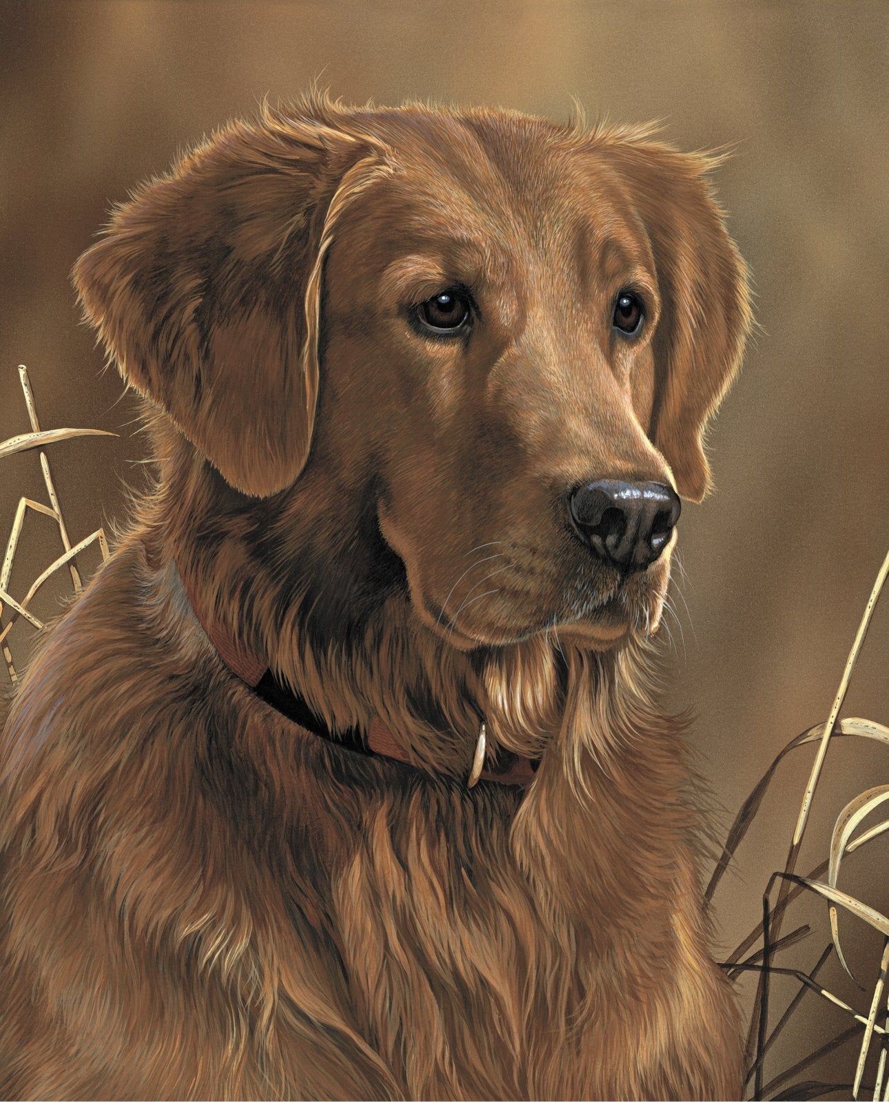 Golden Retriever Dog Quilt Panel ML34902C Dogs - Mary Jo Fabrics