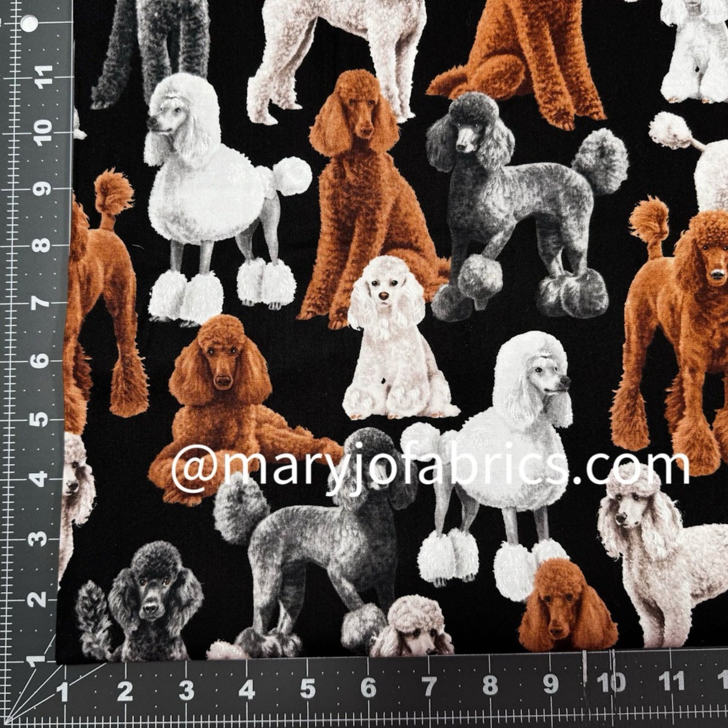 Gray Black White Poodle Dog Fabric Cotton C7527 - Mary Jo Fabrics