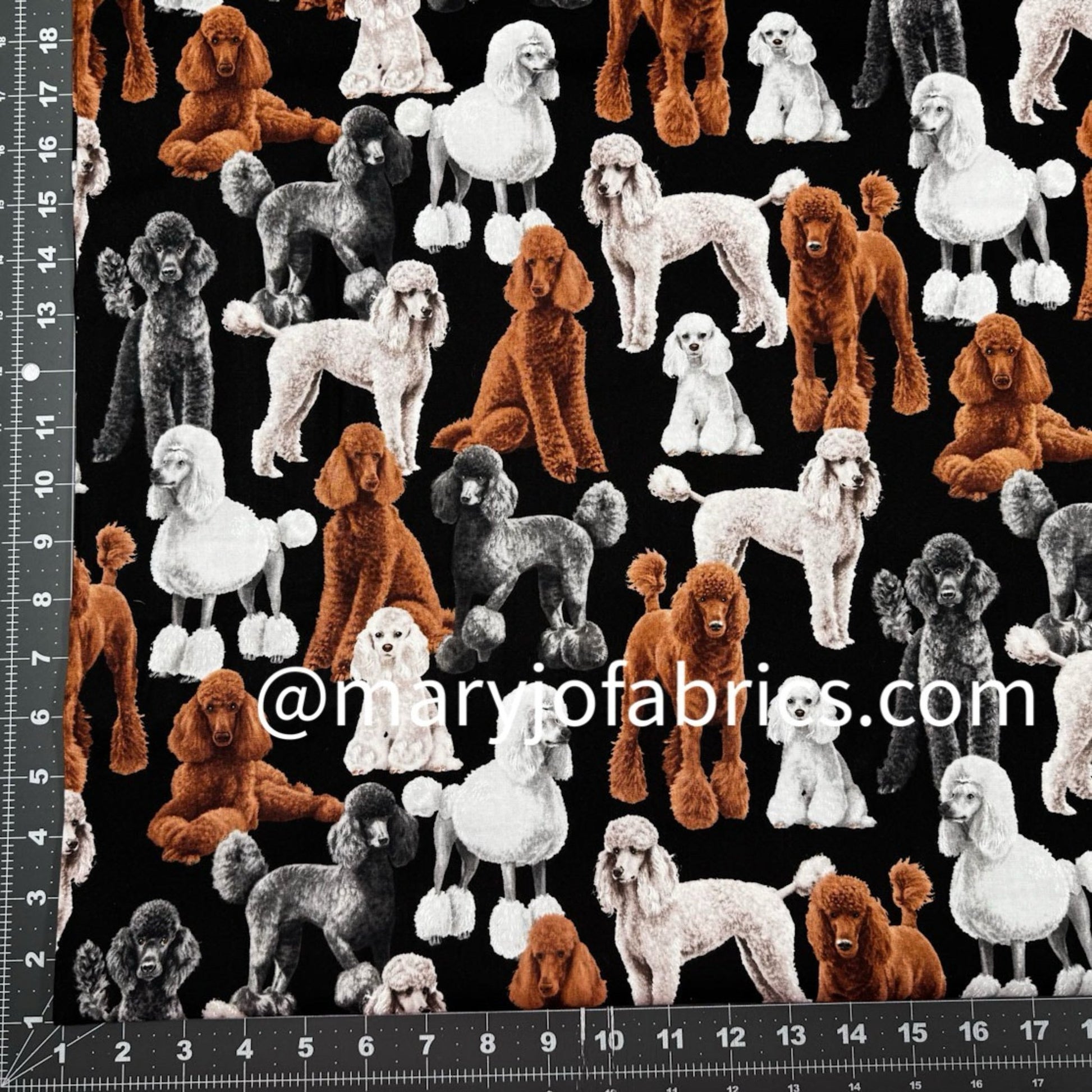 Gray Black White Poodle Dog Fabric Cotton C7527 - Mary Jo Fabrics