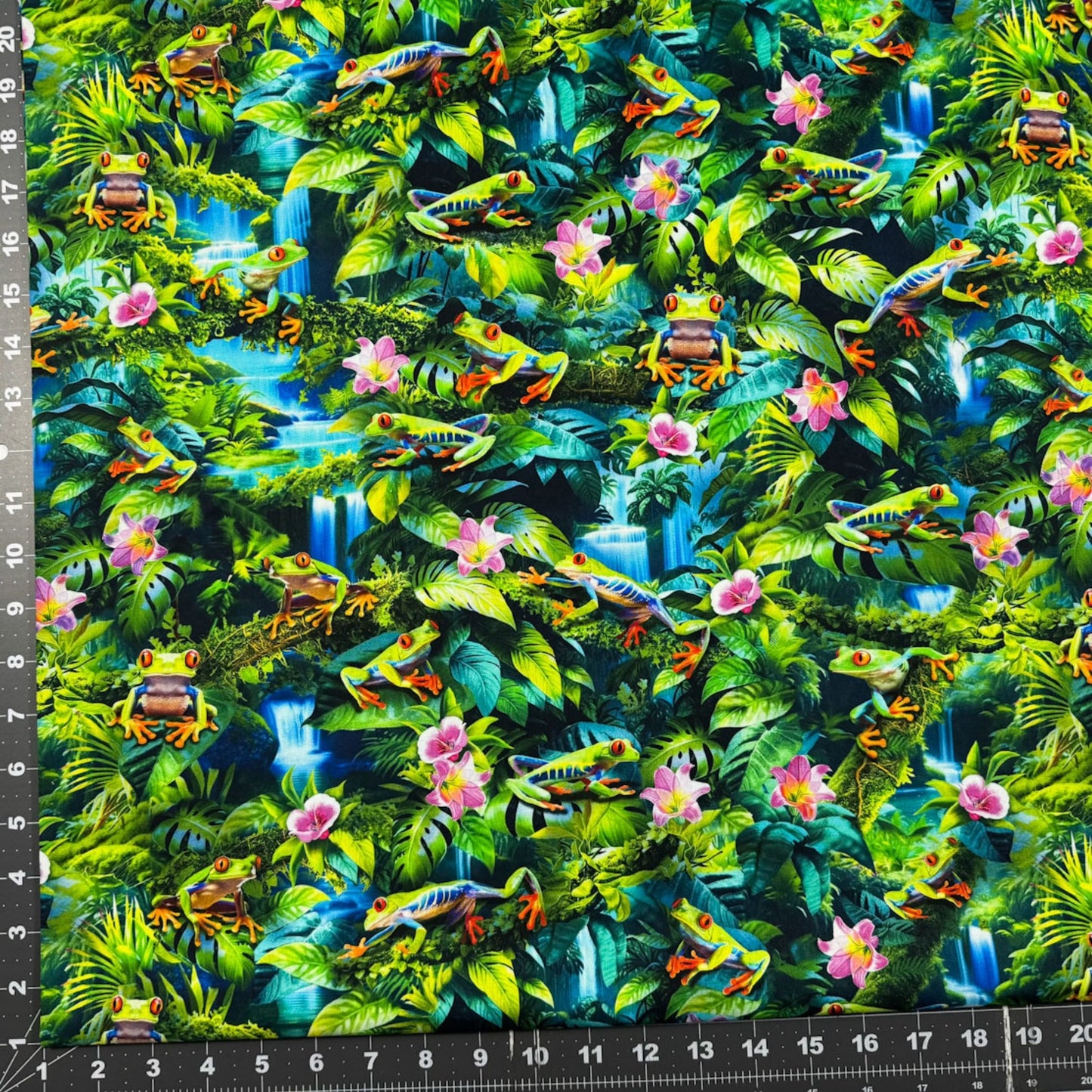 Green Frog Cotton Fabric CD3159 Frogs in Rain Forest - Mary Jo Fabrics