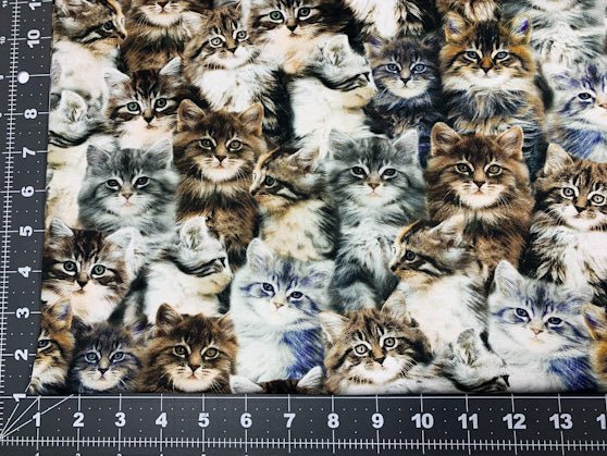 Grey kitten fabric 50060D cute cat cotton fabric - Mary Jo Fabrics