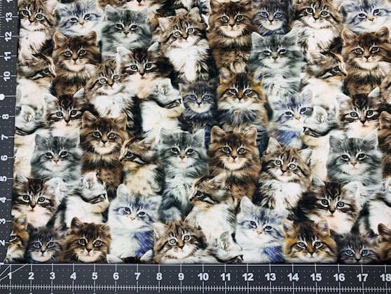 Grey kitten fabric 50060D cute cat cotton fabric - Mary Jo Fabrics