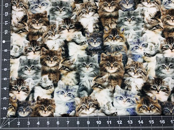 Grey kitten fabric 50060D cute cat cotton fabric - Mary Jo Fabrics