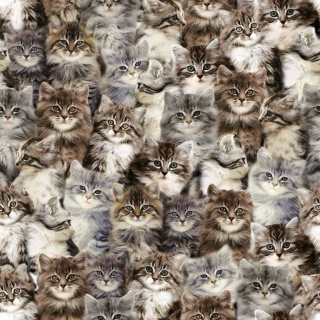 Grey kitten fabric 50060D cute cat cotton fabric - Mary Jo Fabrics