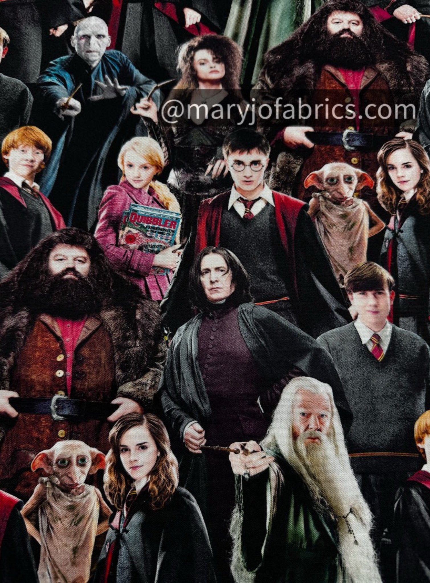 Harry Potter Fabric 15226W Hogwart Cast 108 inches - Mary Jo Fabrics