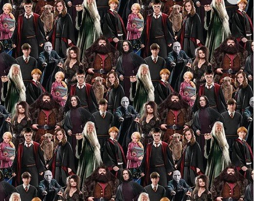 Harry Potter Fabric 15226W Hogwart Cast 108 inches - Mary Jo Fabrics