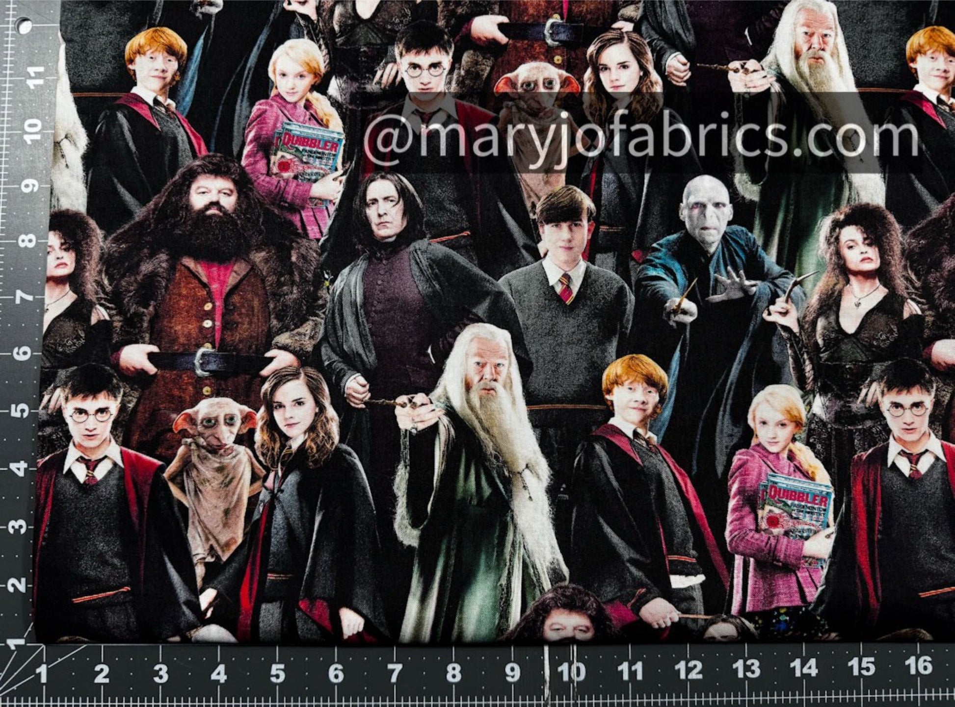 Harry Potter Fabric 15226W Hogwart Cast 108 inches - Mary Jo Fabrics