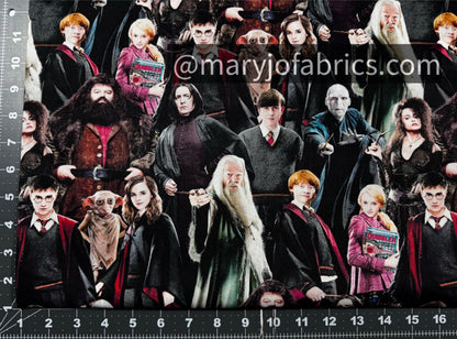 Harry Potter Fabric 15226W Hogwart Cast 108 inches - Mary Jo Fabrics