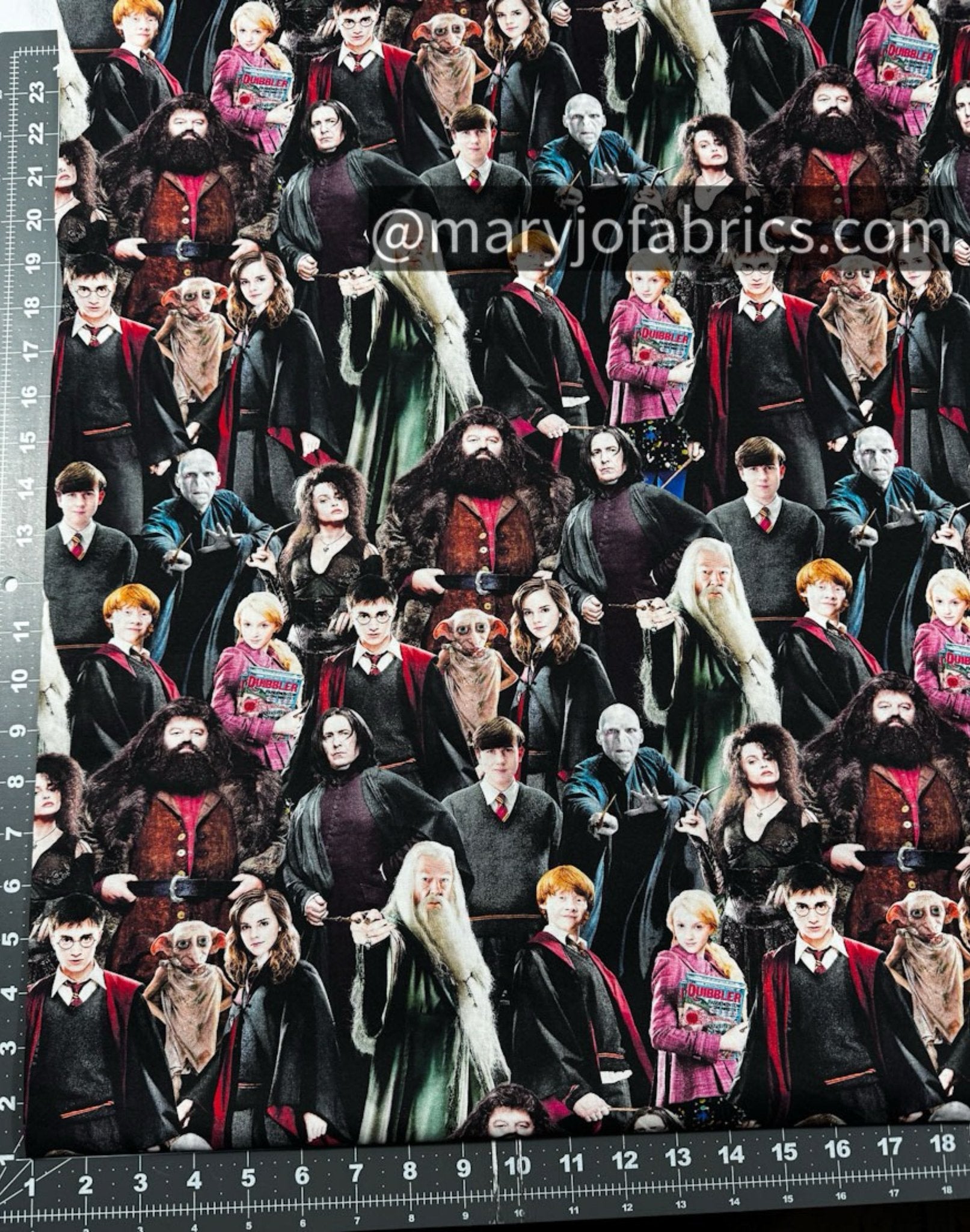 Harry Potter Fabric 15226W Hogwart Cast 108 inches - Mary Jo Fabrics