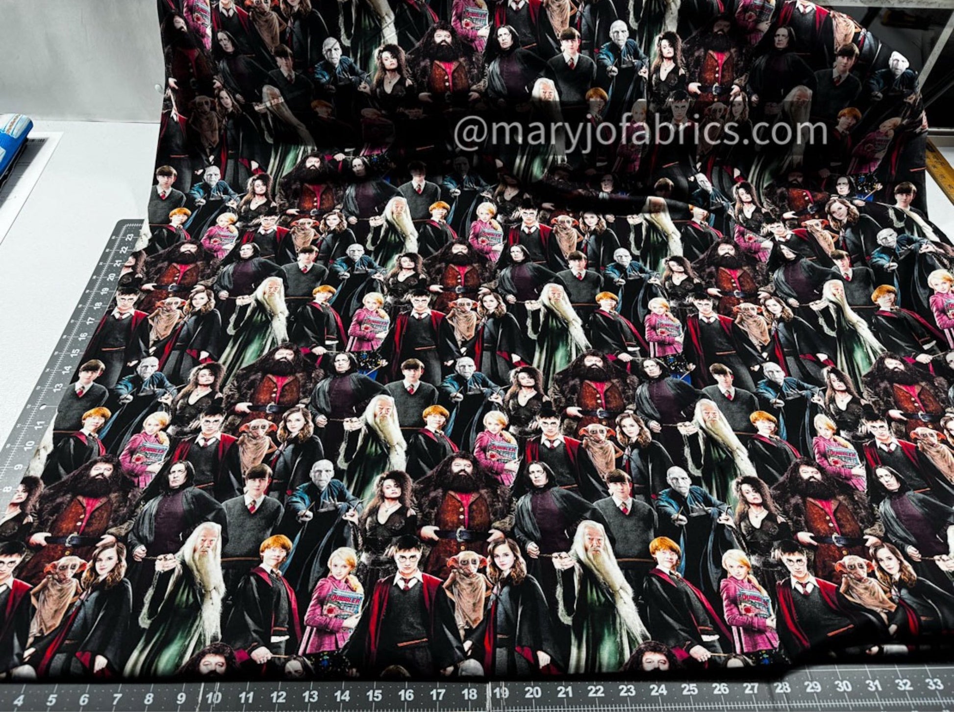 Harry Potter Fabric 15226W Hogwart Cast 108 inches - Mary Jo Fabrics
