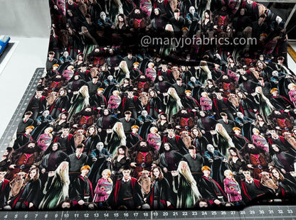 Harry Potter Fabric 15226W Hogwart Cast 108 inches - Mary Jo Fabrics