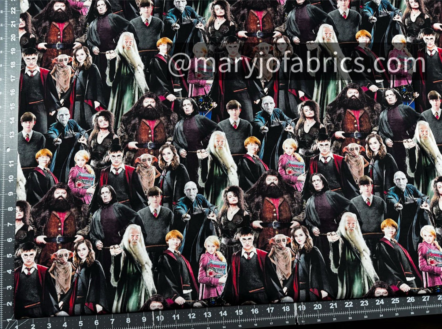 Harry Potter Fabric 15226W Hogwart Cast 108 inches - Mary Jo Fabrics