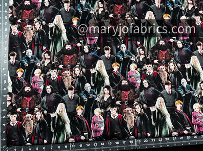 Harry Potter Fabric 15226W Hogwart Cast 108 inches - Mary Jo Fabrics