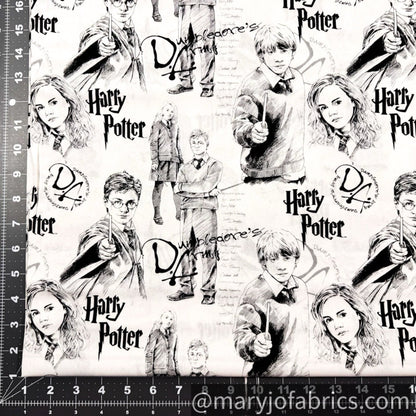 Harry Potter Fabric 23800 Dumbledore Army - Mary Jo Fabrics