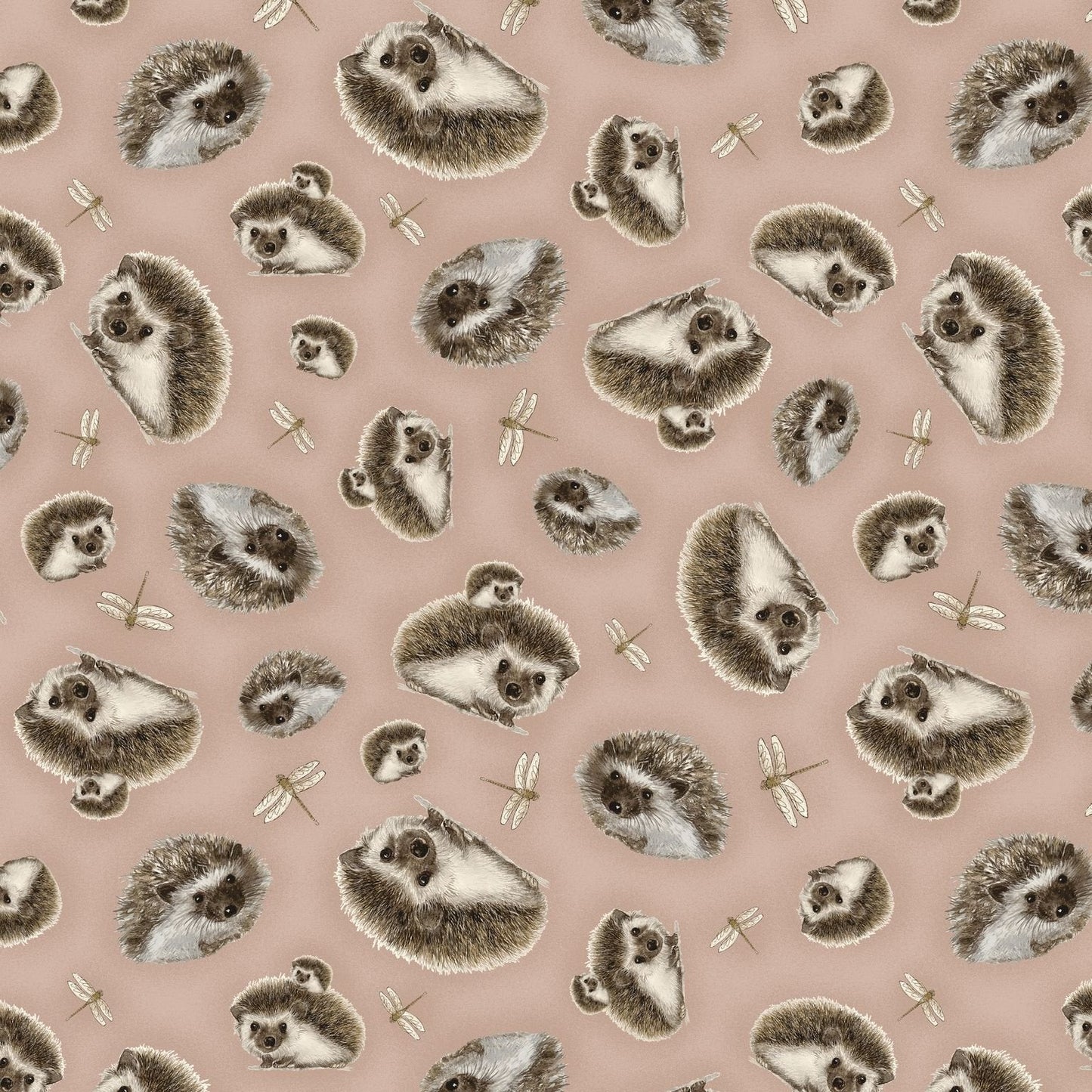 Hedgehog fabric 44933 hedgehogs cotton fabric - Mary Jo Fabrics