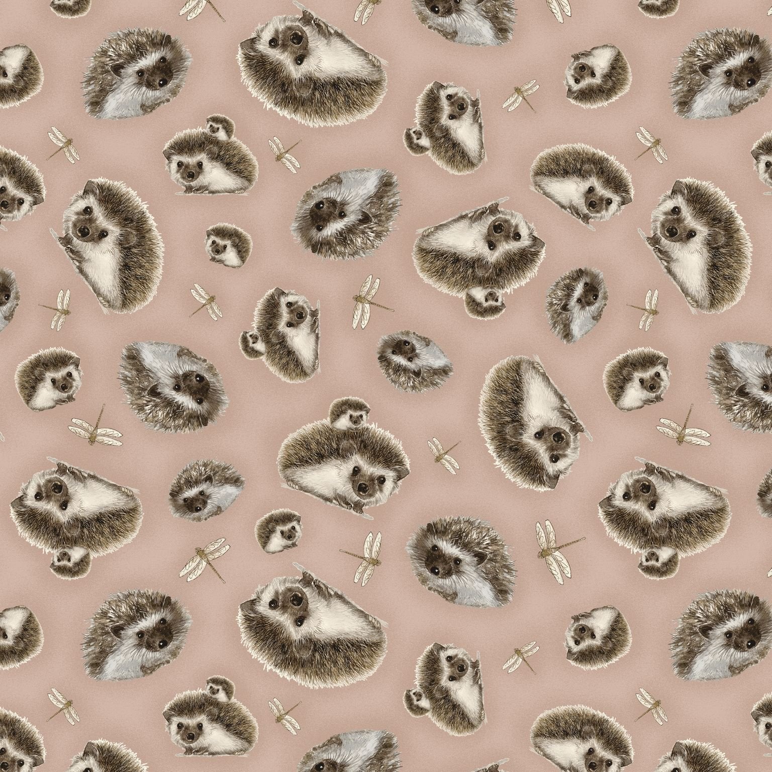 Hedgehog fabric 44933 hedgehogs cotton fabric - Mary Jo Fabrics