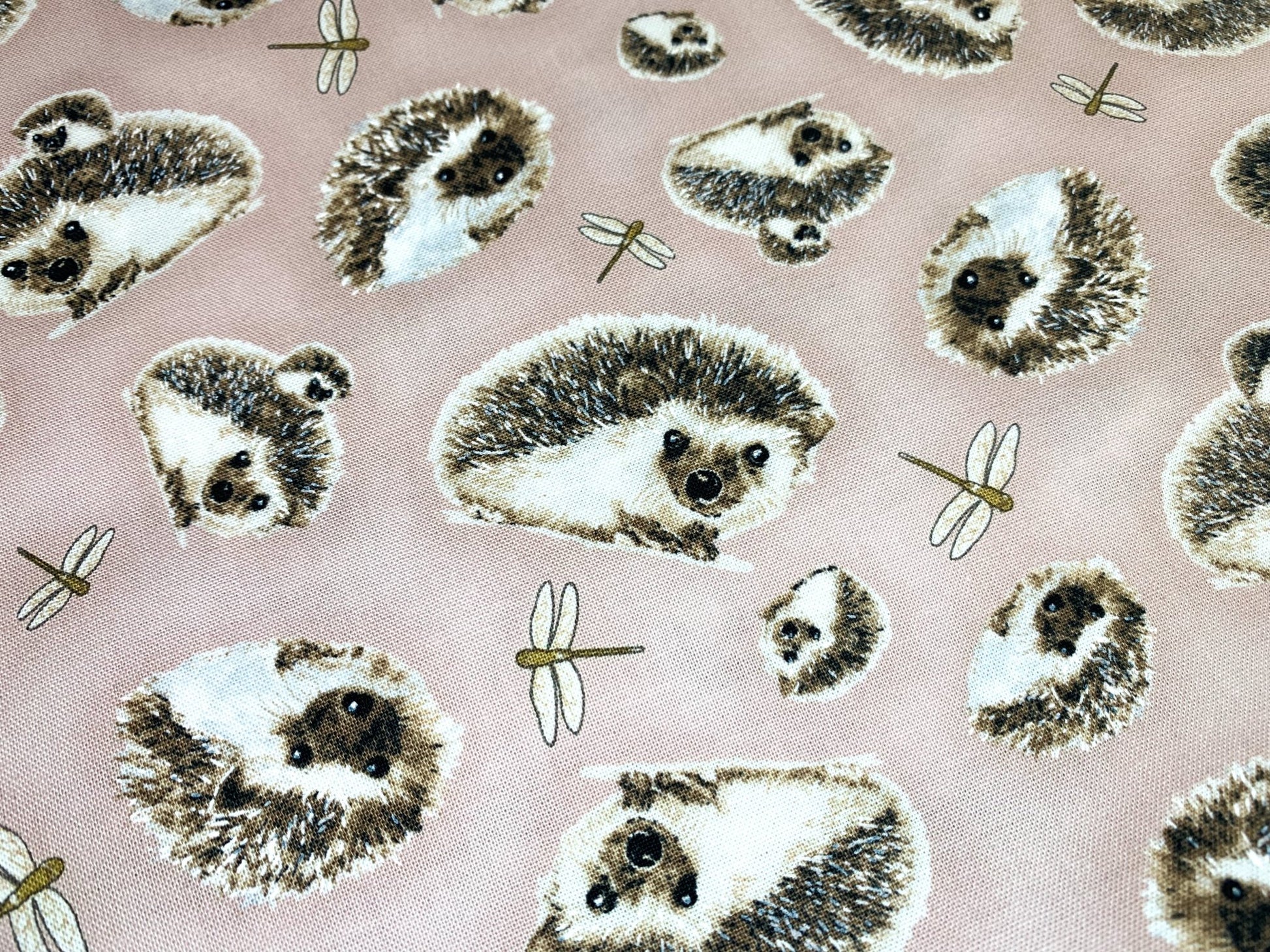 Hedgehog fabric 44933 hedgehogs cotton fabric - Mary Jo Fabrics