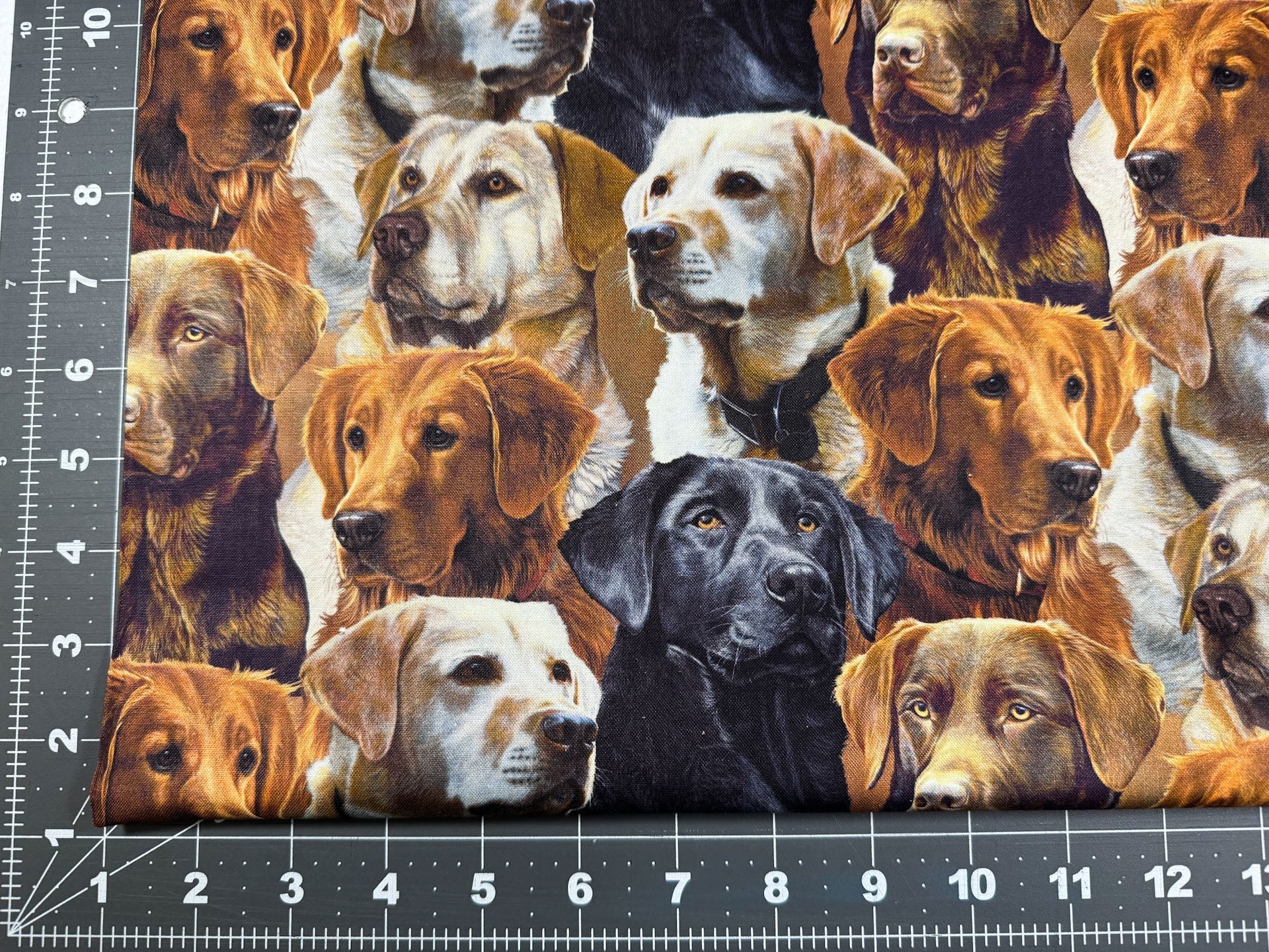 Labrador dog fabric all over Labrador Retrievers - Mary Jo Fabrics