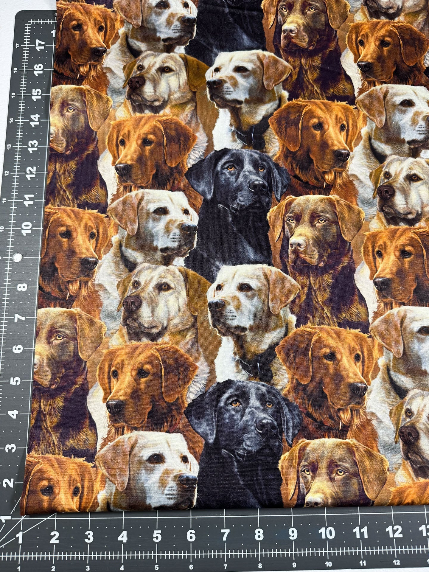 Labrador dog fabric all over Labrador Retrievers - Mary Jo Fabrics