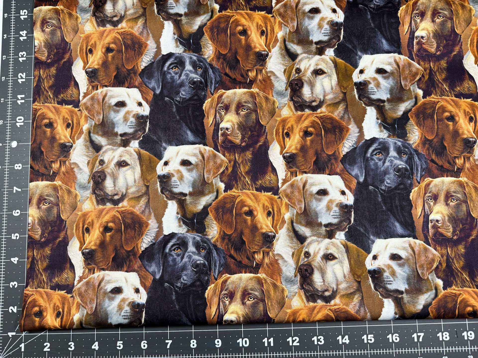 Labrador dog fabric all over Labrador Retrievers - Mary Jo Fabrics