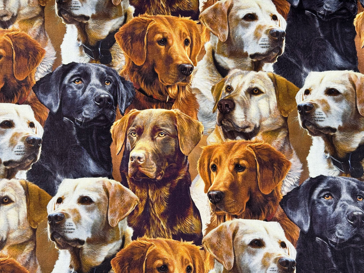 Labrador dog fabric all over Labrador Retrievers - Mary Jo Fabrics