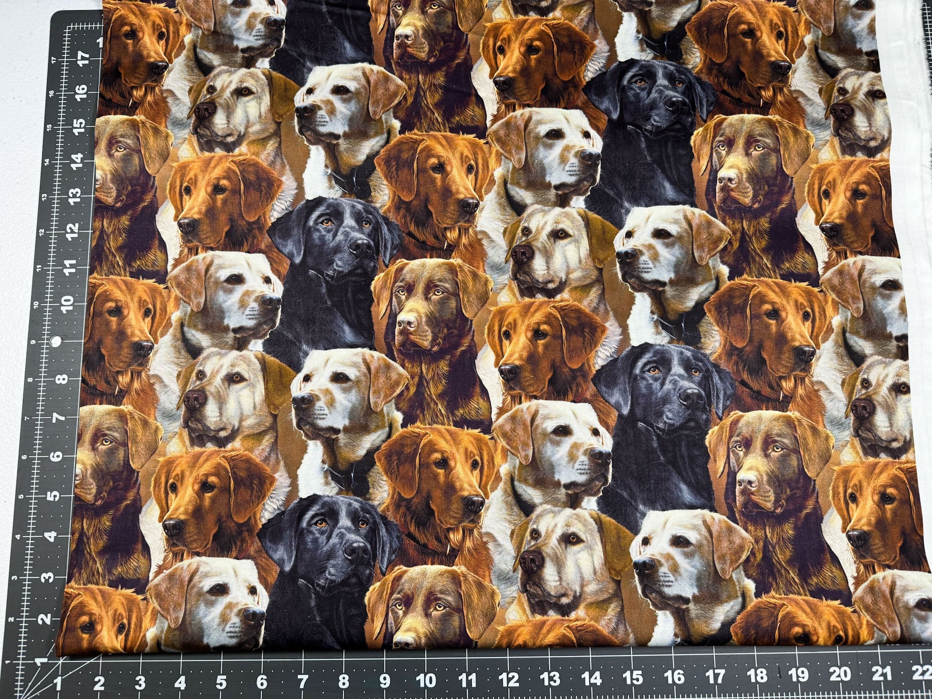 Labrador dog fabric all over Labrador Retrievers - Mary Jo Fabrics