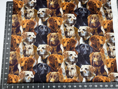 Dog Cotton Fabrics