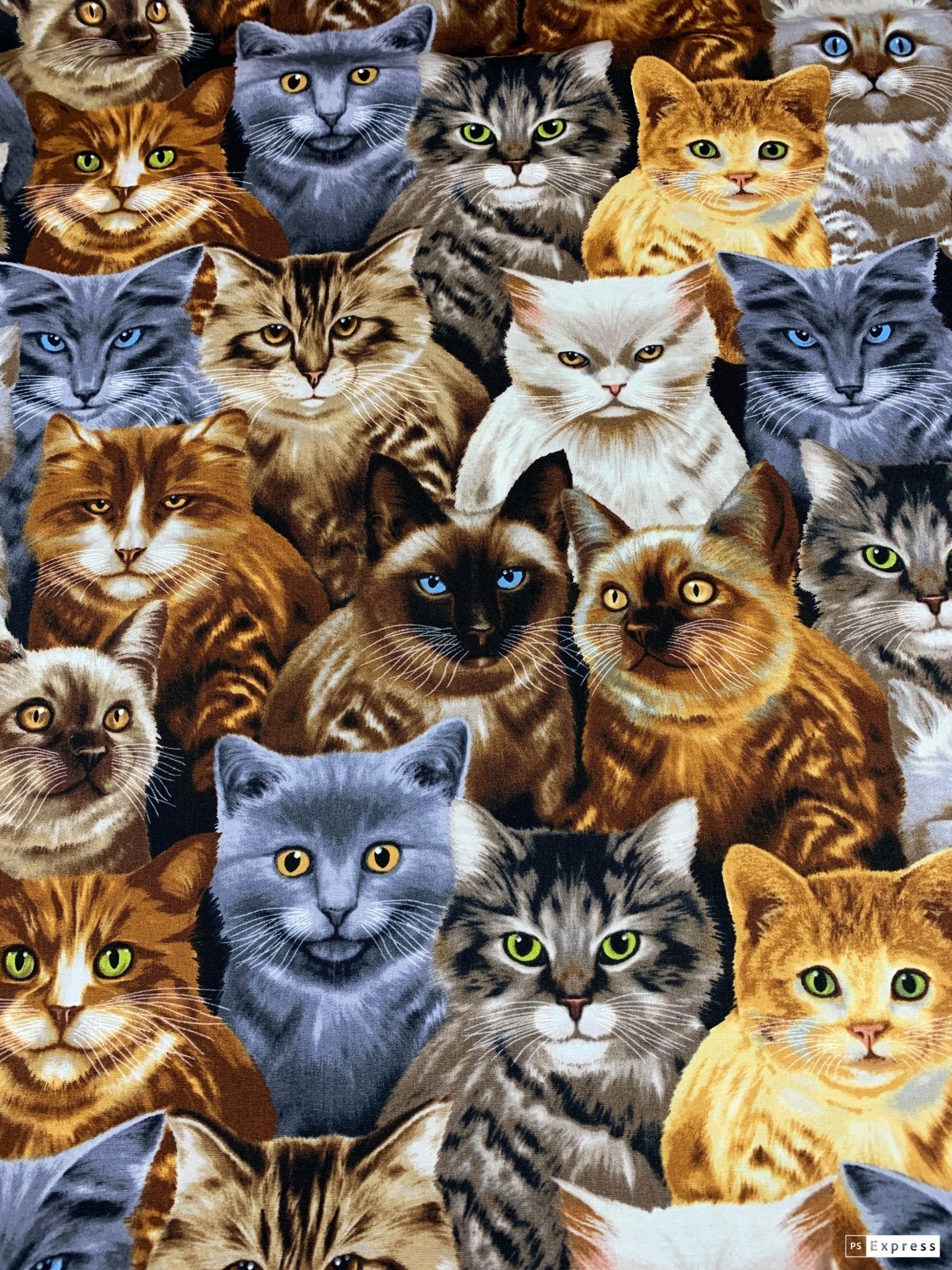 Large Cat fabric C9820 cats cotton fabric - Mary Jo Fabrics