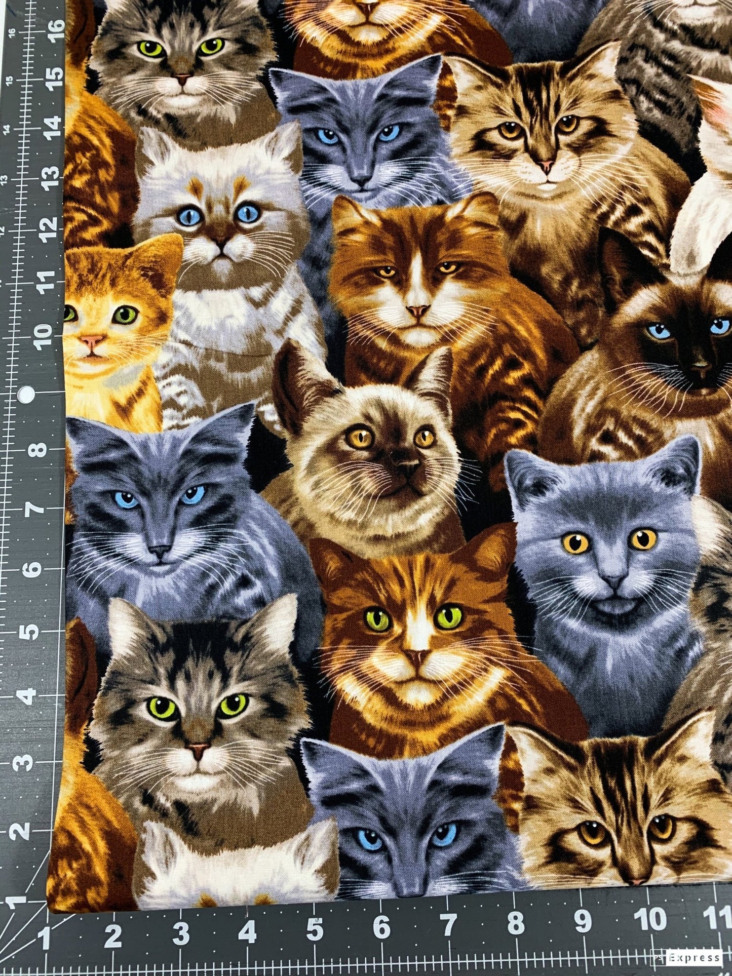 Large Cat fabric C9820 cats cotton fabric - Mary Jo Fabrics