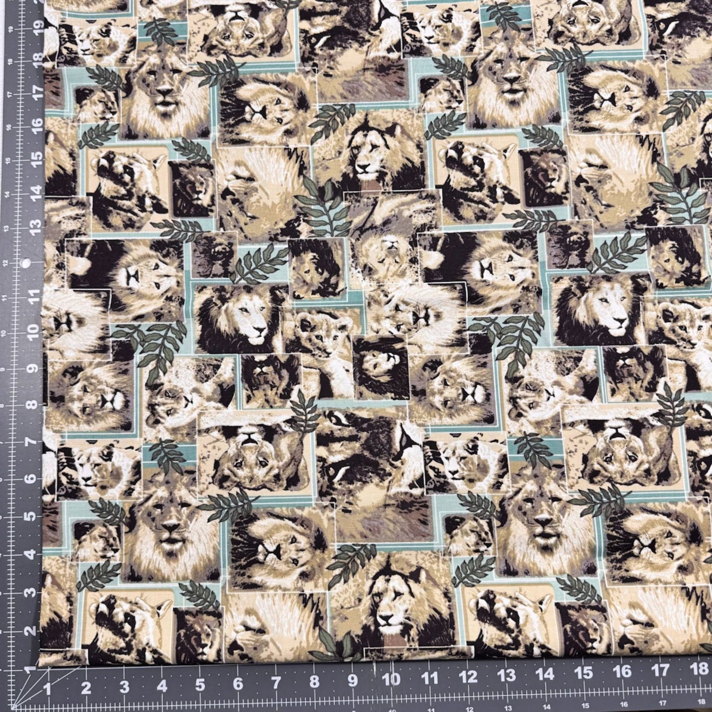 Lion fabric Pride of lions cotton fabric big width - Mary Jo Fabrics