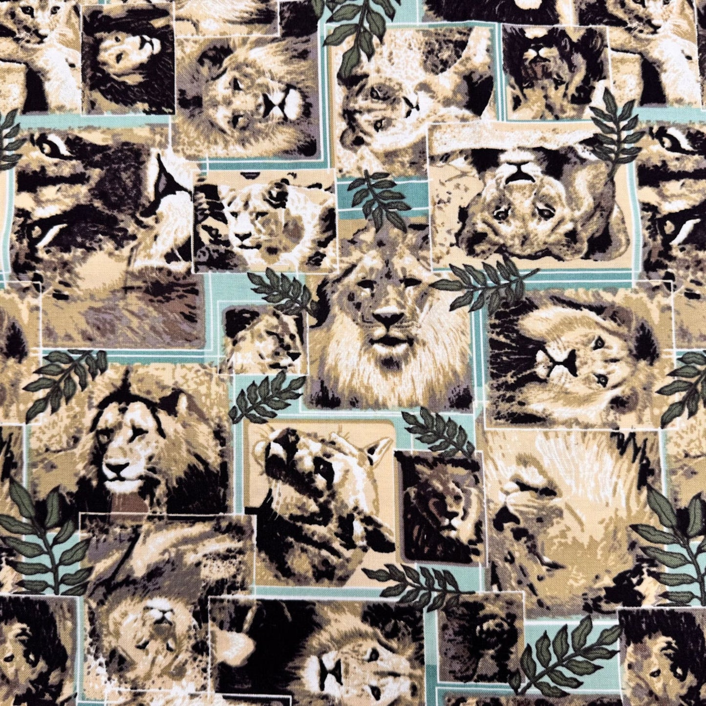 Lion fabric Pride of lions cotton fabric big width - Mary Jo Fabrics