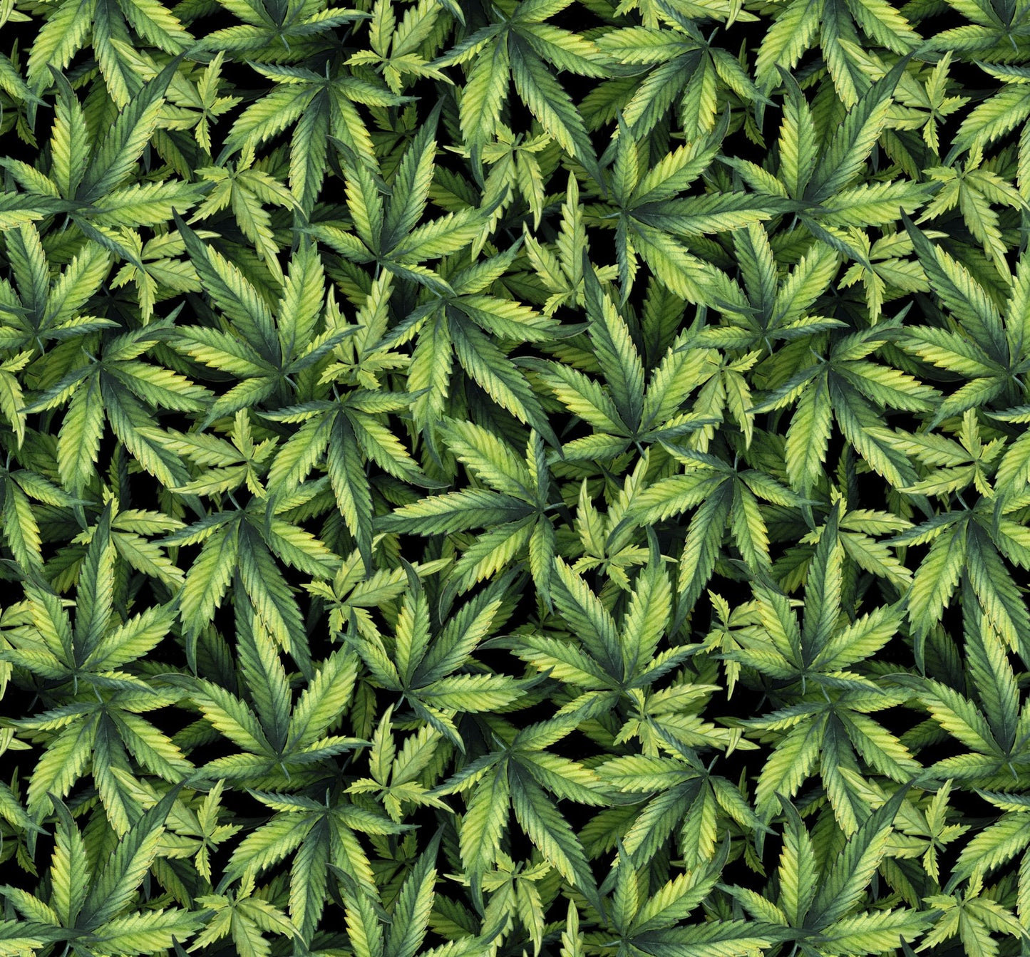 Mary Jane Green Leaf fabric 1324 - Mary Jo Fabrics