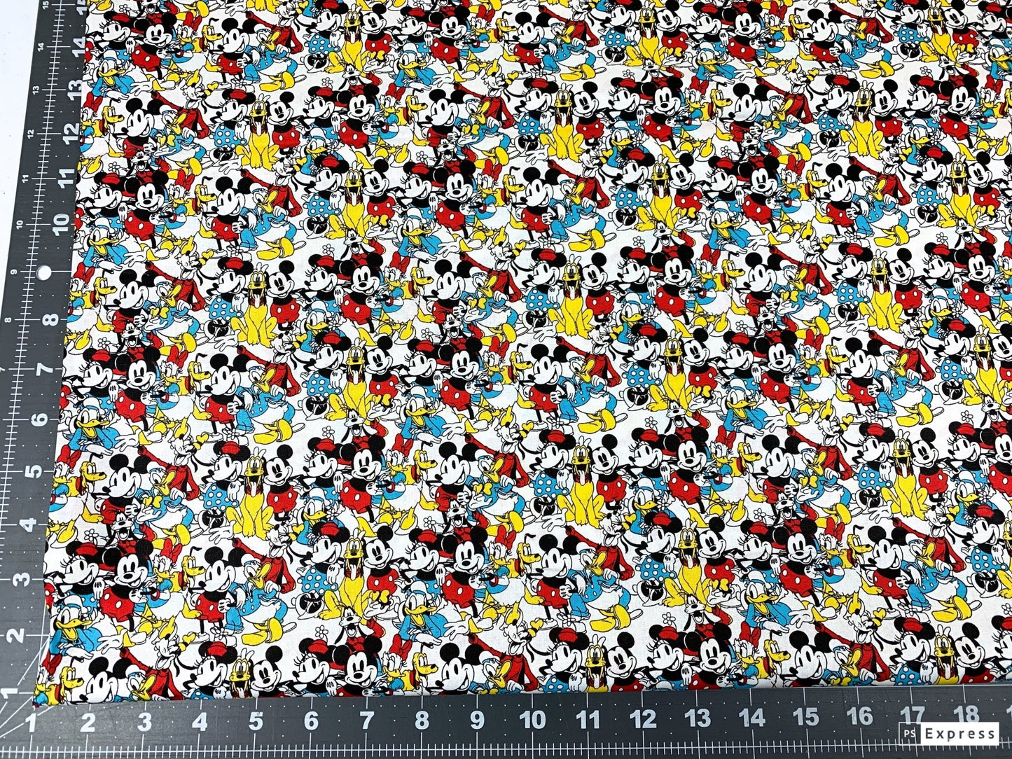 Mickey & Friends fabric Sensational Snapshot - Mary Jo Fabrics