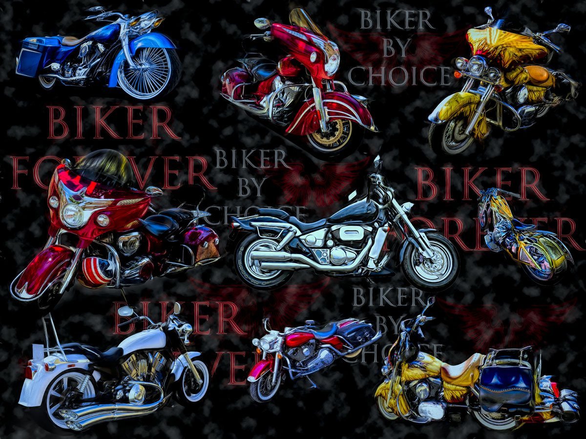 Motorcycle fabric 3765 Biker by Choice - Mary Jo Fabrics