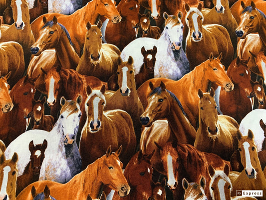 Packed Horse fabric 433BLA Elizabeth Studios horses quilting fabric - Mary Jo Fabrics