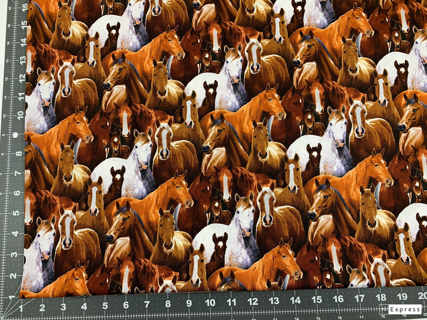 Packed Horse fabric 433BLA Elizabeth Studios horses quilting fabric - Mary Jo Fabrics