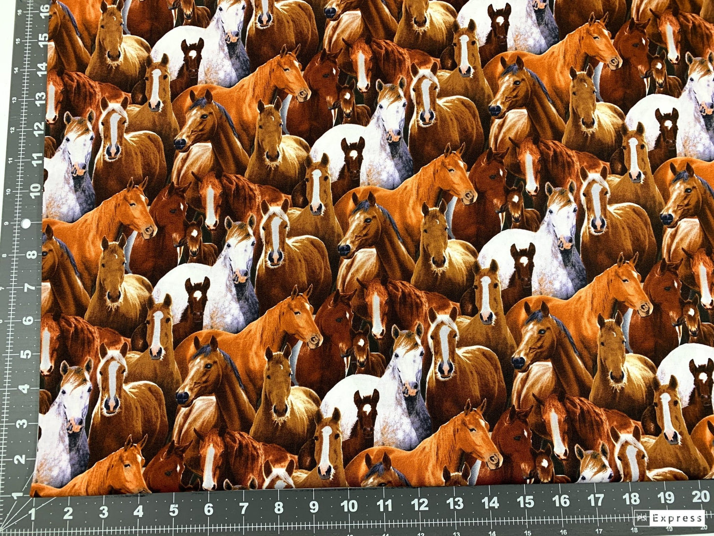 Packed Horse fabric 433BLA Elizabeth Studios horses quilting fabric - Mary Jo Fabrics