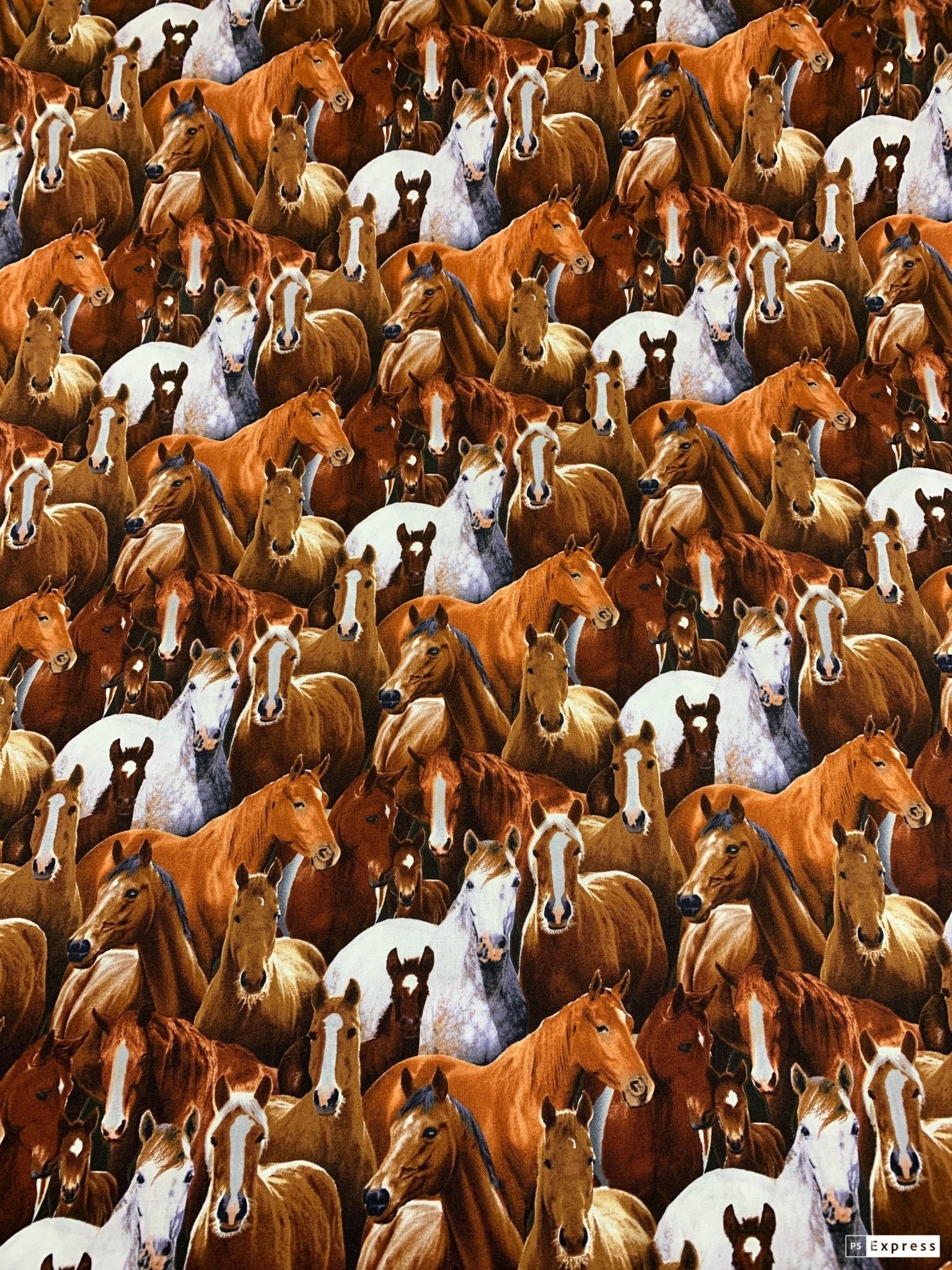 Packed Horse fabric 433BLA Elizabeth Studios horses quilting fabric - Mary Jo Fabrics