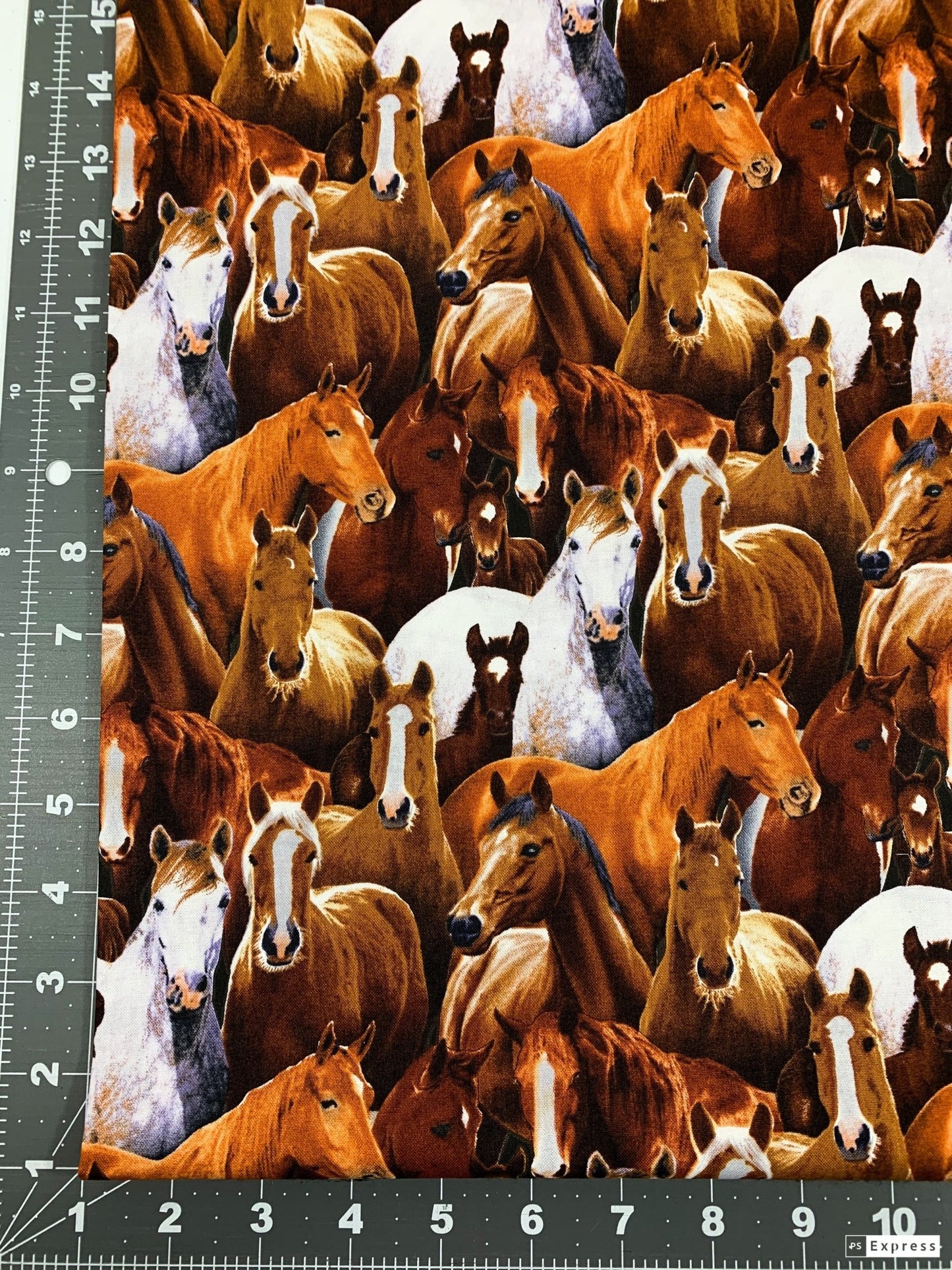 Packed Horse fabric 433BLA Elizabeth Studios horses quilting fabric - Mary Jo Fabrics