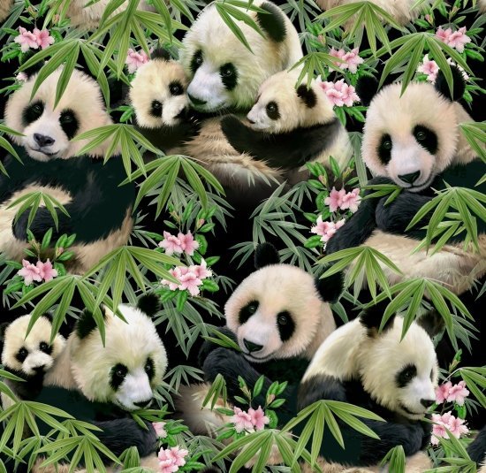 Panda bear fabric 1230 Panda fabric w Pink Flowers - Mary Jo Fabrics