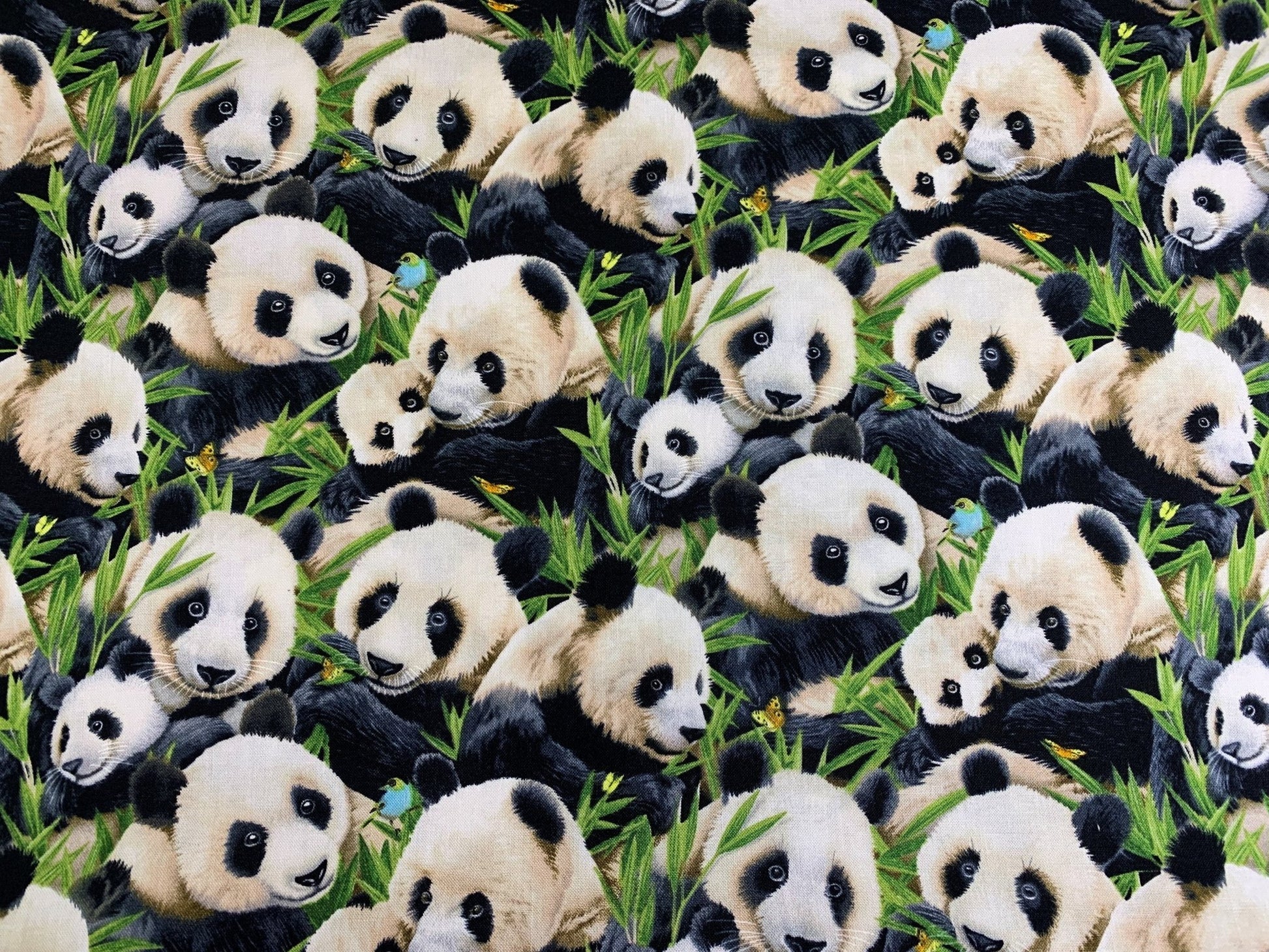 Panda bear fabric 1329 Black Panda fabric - Mary Jo Fabrics