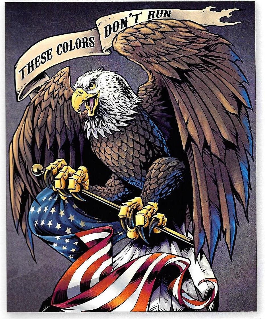 Patriotic Eagle Panel AL3738 These Colors Don't Run - Mary Jo Fabrics
