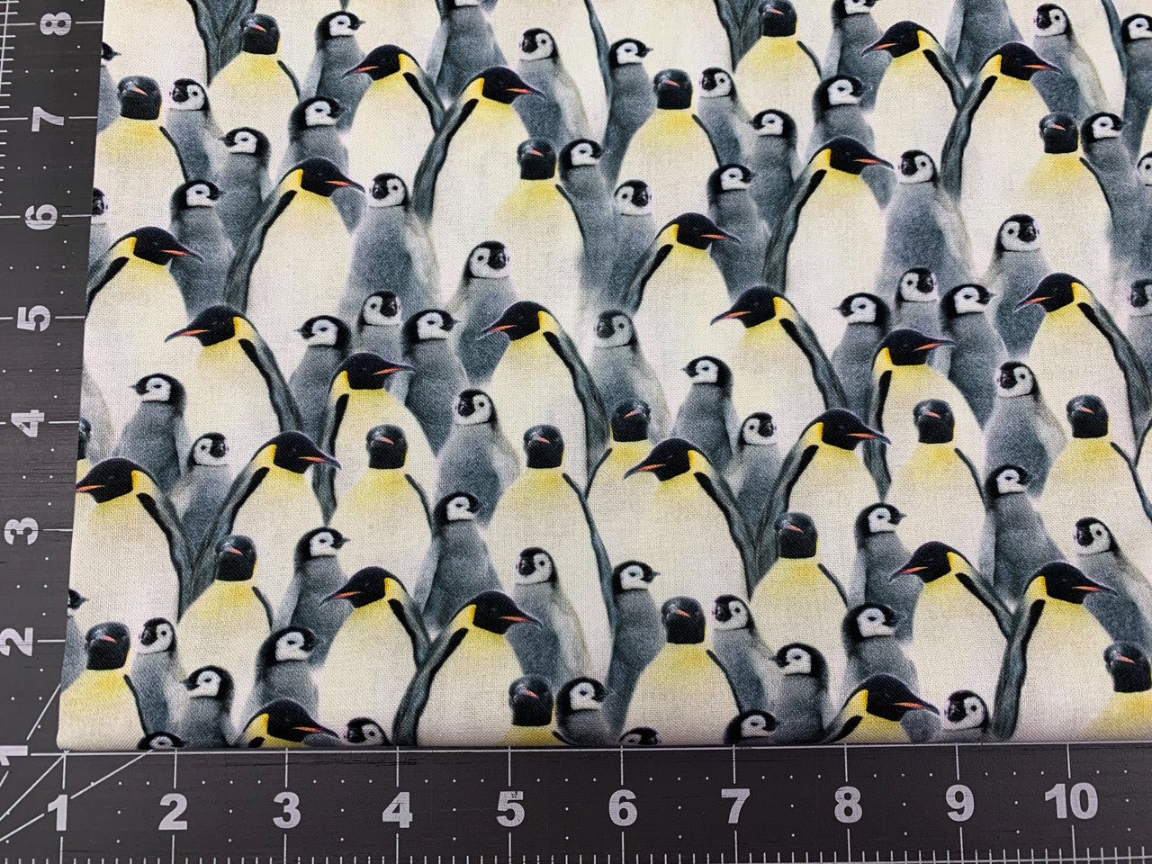 Penguin fabric CD1695 Penguins cotton fabric - Mary Jo Fabrics