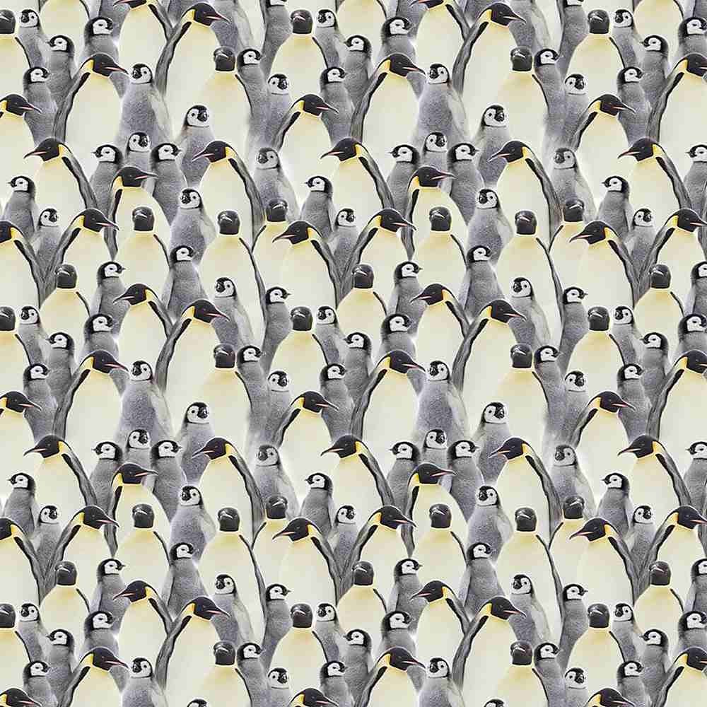 Penguin fabric CD1695 Penguins cotton fabric - Mary Jo Fabrics