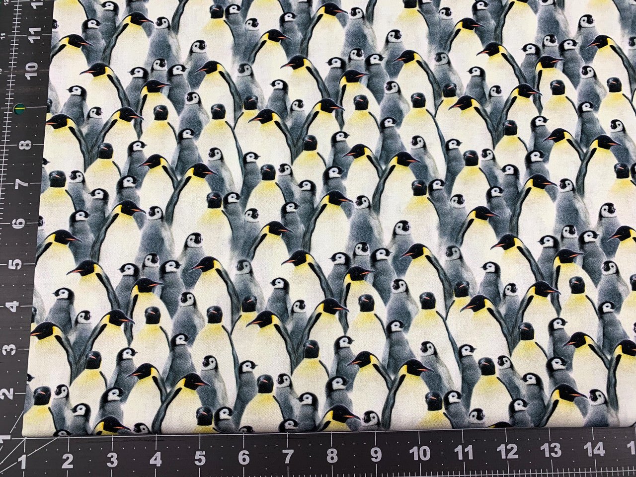 Penguin fabric CD1695 Penguins cotton fabric - Mary Jo Fabrics