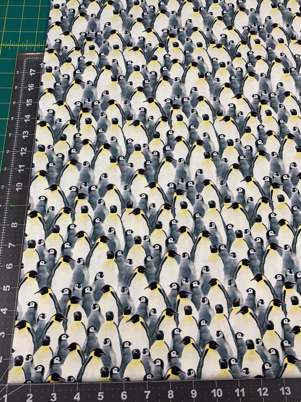 Penguin fabric CD1695 Penguins cotton fabric - Mary Jo Fabrics